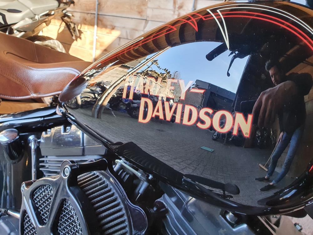 Harley Davidson FLSTSB Cross bones