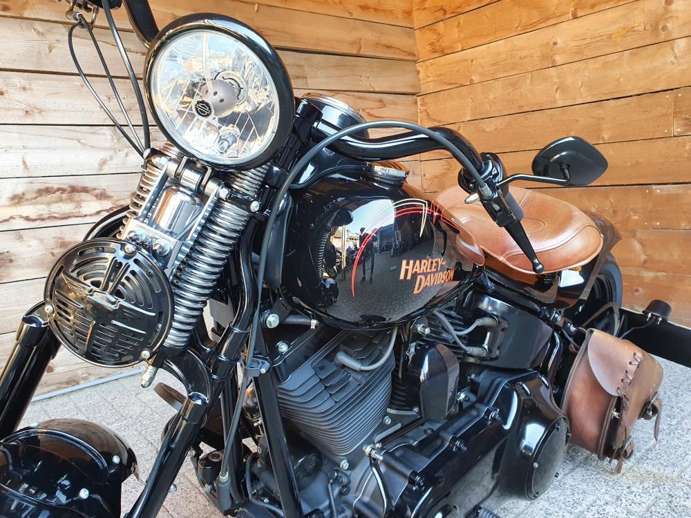 Harley Davidson FLSTSB Cross bones