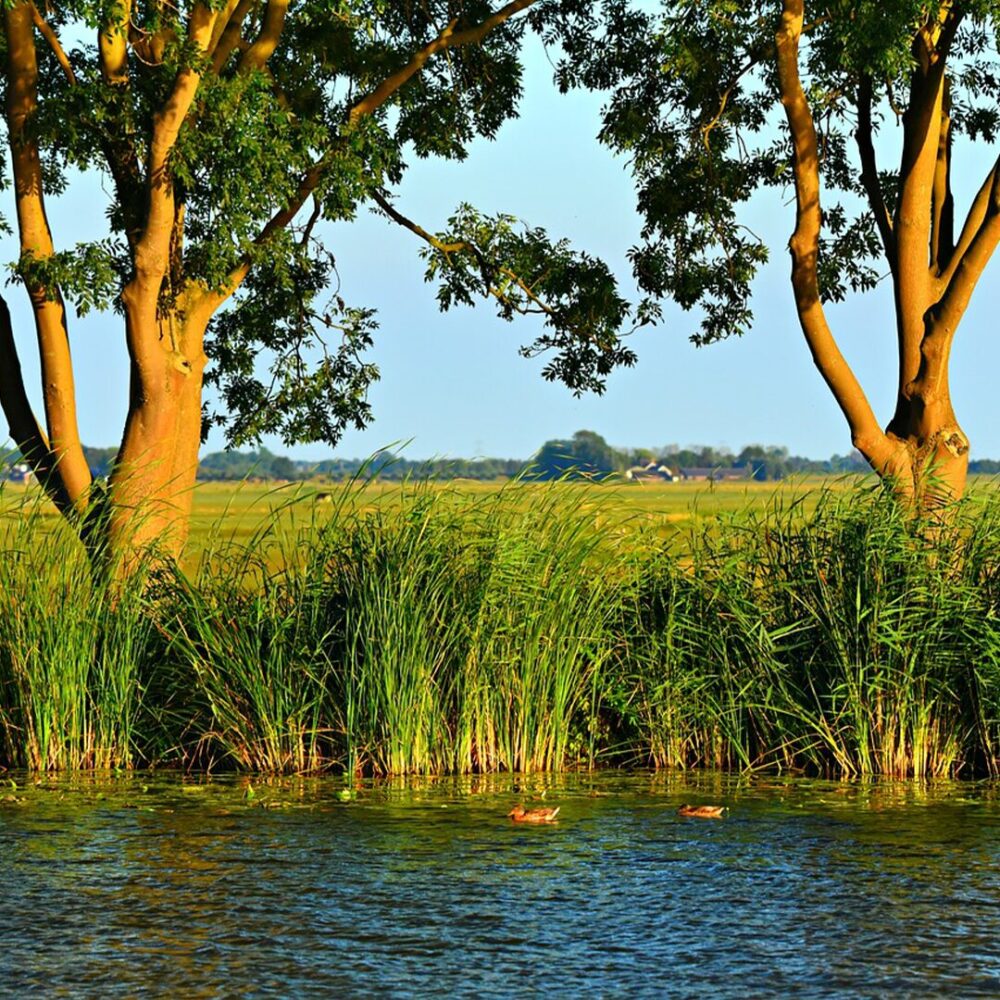 down by the river route